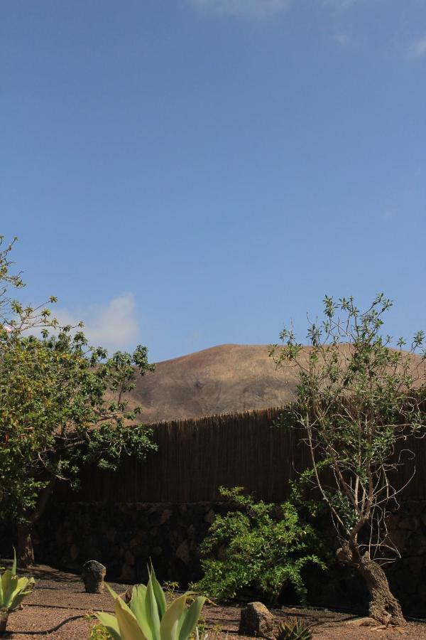 Villa Amrita La Oliva Dış mekan fotoğraf